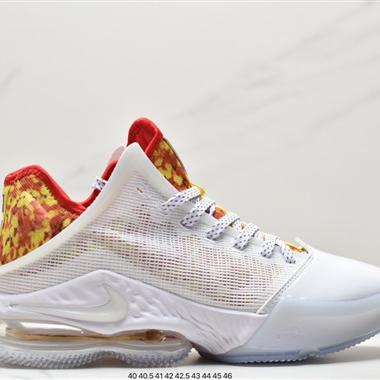 Nike EBRON XIX EP 19代 L LR氣墊籃球鞋