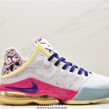 Nike EBRON XIX EP 19代 L LR氣墊籃球鞋