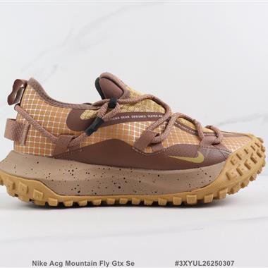 Nike Acg Mountain Fly Gtx Se 戶外徒步越野鞋
