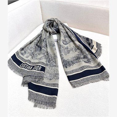 DIOR  2025秋冬新款時尚圍巾 尺寸：140-140