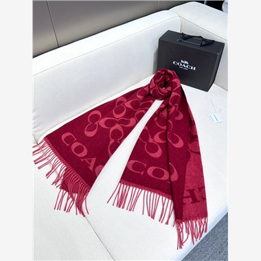 COACH  2025秋冬新款時尚圍巾 尺寸：195-53