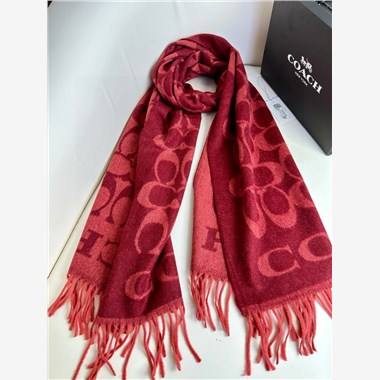 COACH  2025秋冬新款時尚圍巾 尺寸：195-53