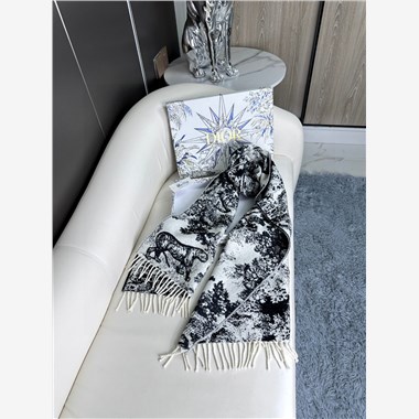 DIOR  2026秋冬新款時尚圍巾