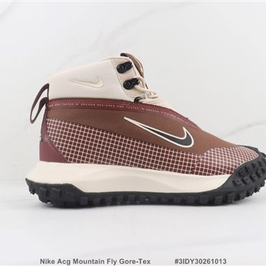 Nike Acg Mountain Fly Gore-Tex 戶外徒步運動鞋